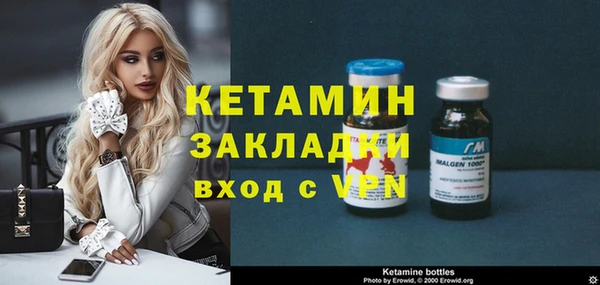 шишки Михайловск