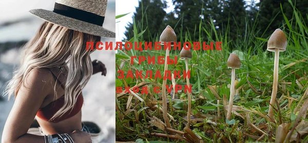 не бодяженный Михайловка