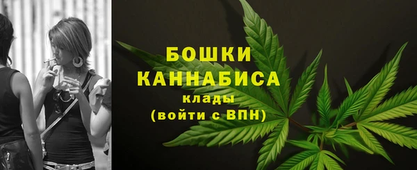 шишки Михайловск