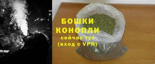 шишки Михайловск