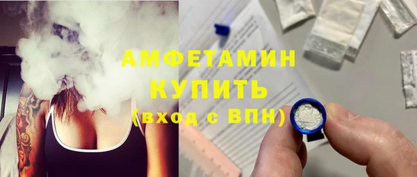шишки Михайловск