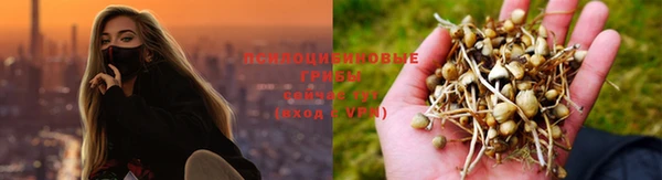 прущая мука Михайлов