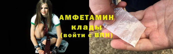 шишки Михайловск