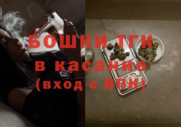 шишки Михайловск