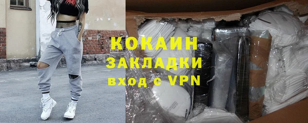 шишки Михайловск