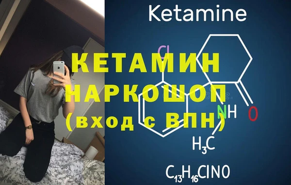 шишки Михайловск